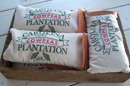 Carolina Plantation Cowpeas