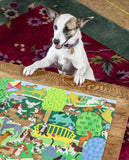 Dogs in the Park 1000 Piece Puzzle