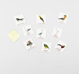 Bird Bingo