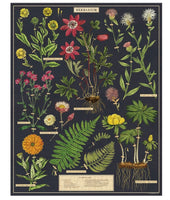 Herbarium Vintage Puzzle